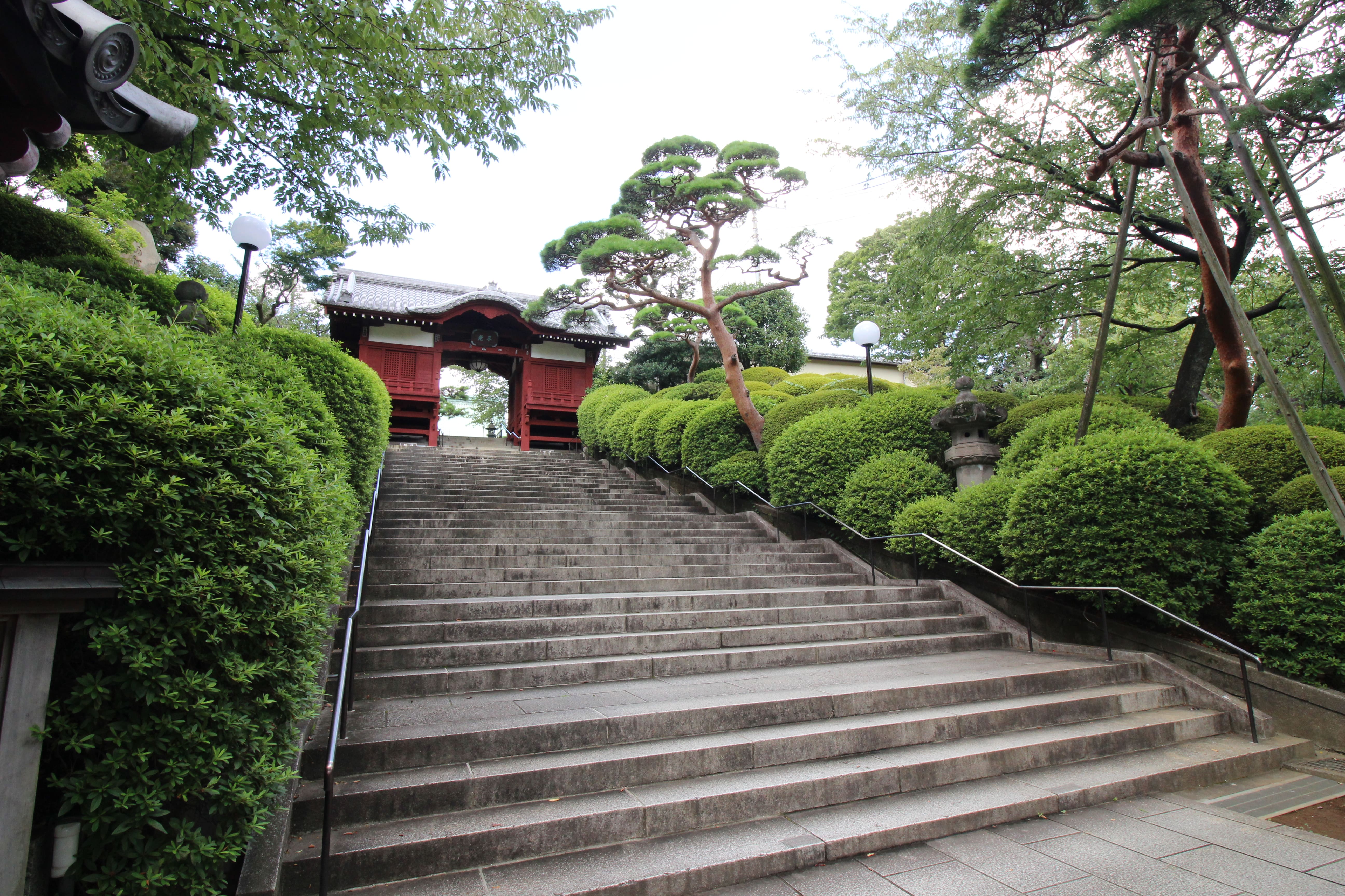 護国寺